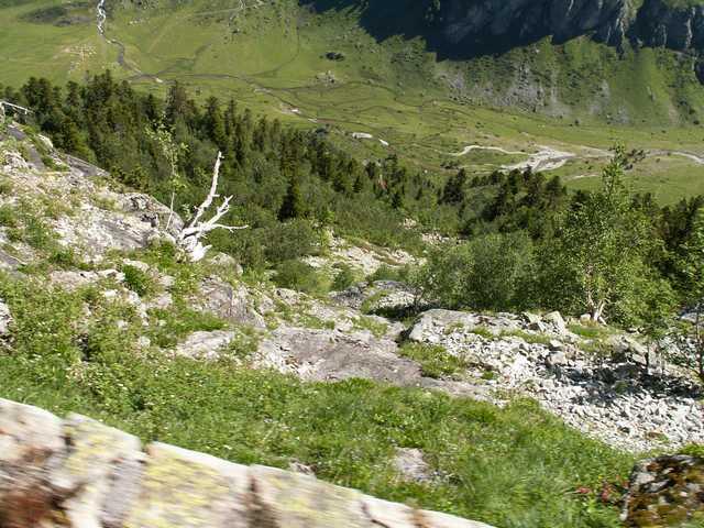 PICT7060