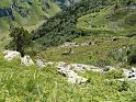 PICT7062