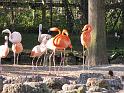 IMG_4335