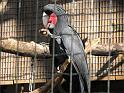 IMG_4354