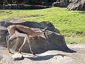 IMG_4417