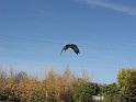 IMG_4457