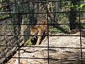 IMG_4527