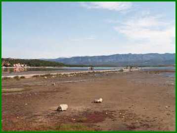 SOLINE la plage de boue (vase !)
