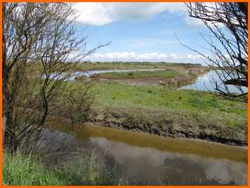 Près du DOUHET