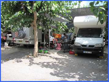 Camping MEDITERRANEO l'emplacement