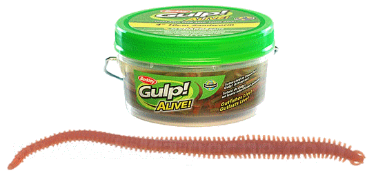 GULP ALIVE Natural