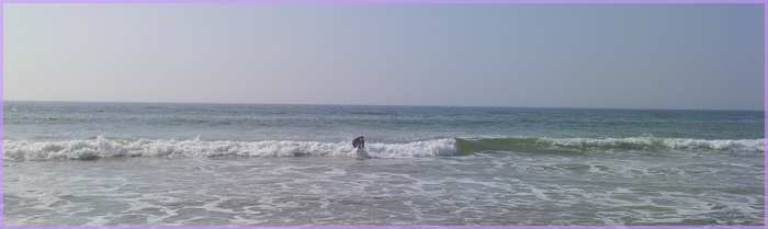 EMMA essaie de faire du surf