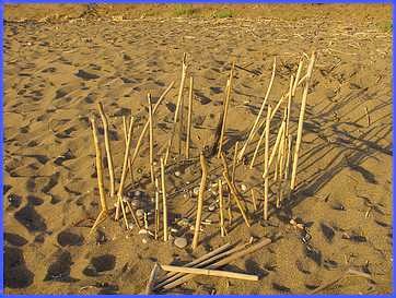 Plage de KALO NERO les nids de tortues
