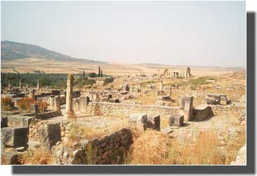 VOLUBILIS