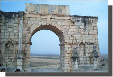 VOLUBILIS