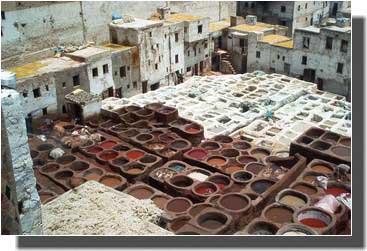 FES les taneries