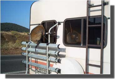 Pas curieux un singe ?