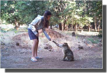 EMMA et un singe