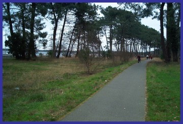 Piste cyclable à BISCARROSSE (entre ISPE et NAVARROSSE)