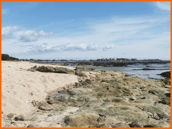 Un bout de plage.....les palourdes sont à 50m à droite