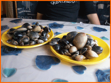 Pêche du jour