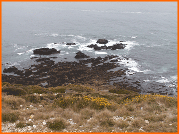 Pointe de la Chèvre