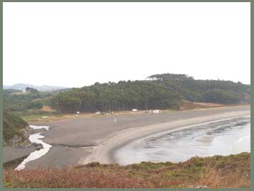 Plage de surfeurs