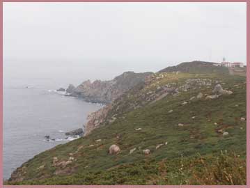 BARES EST