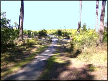 Piste entre CONTIS et le Cap de l'HOMY