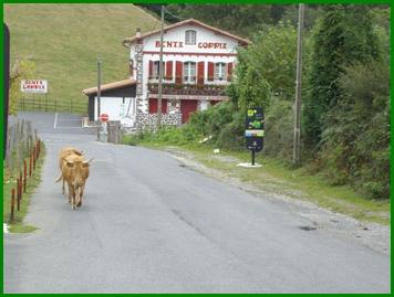 Col d'IBARDIN